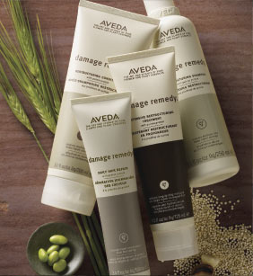Aveda color correction hair products
